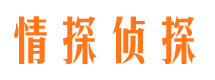 吉安外遇调查取证